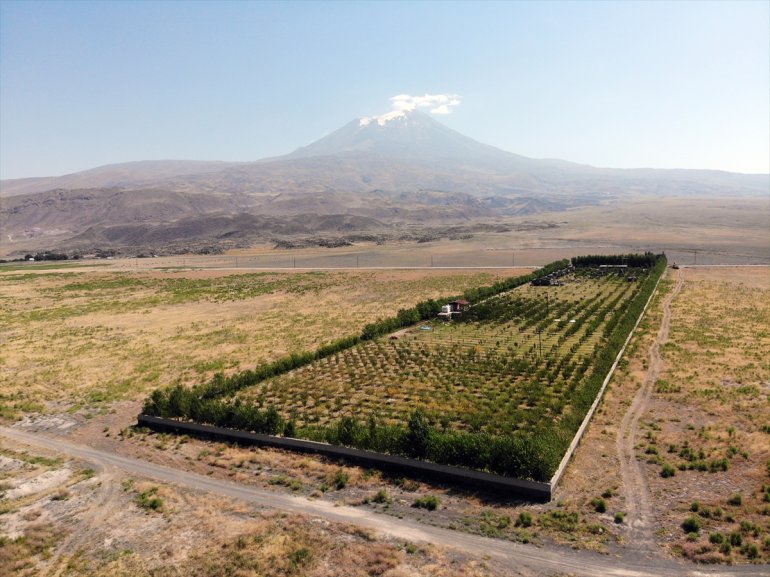 Çorak araziye kurduğu meyve bahçesiyle turizme de hizmet etmek istiyor