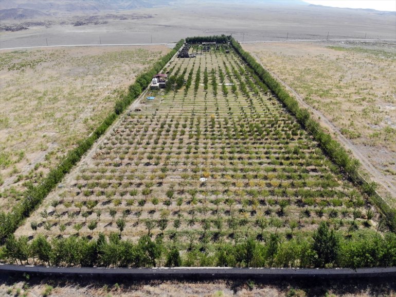 istiyor kurduğu Çorak etmek - hizmet turizme de AĞRI bahçesiyle araziye meyve 15