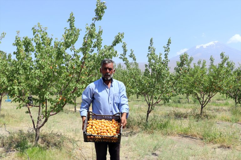 turizme Çorak - etmek araziye bahçesiyle kurduğu istiyor hizmet meyve AĞRI de 9