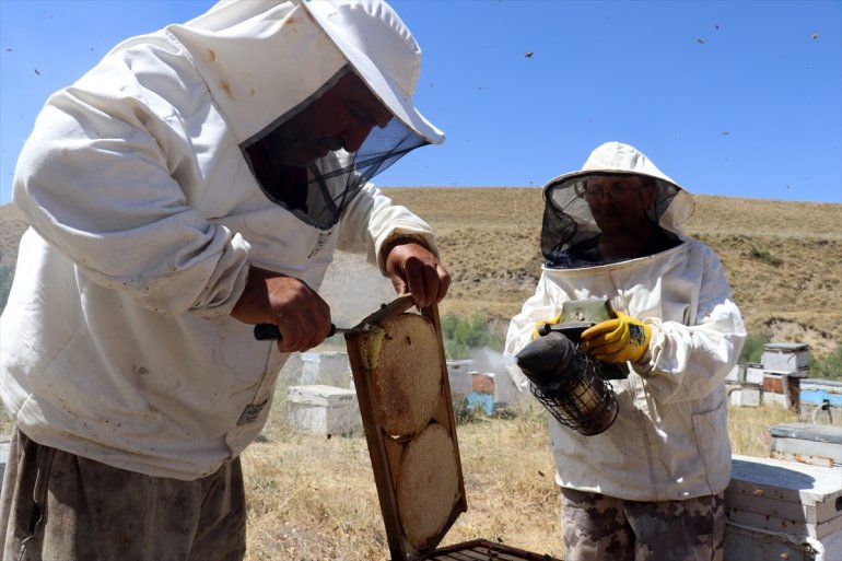 Ordulu arıcılar bal üretimi için çiçeklerle kaplı Ağrı yaylalarını tercih ediyor