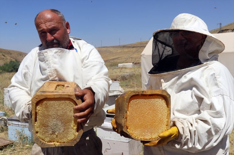 - kaplı üretimi Ağrı bal çiçeklerle yaylalarını AĞRI ediyor arıcılar Ordulu tercih için 2