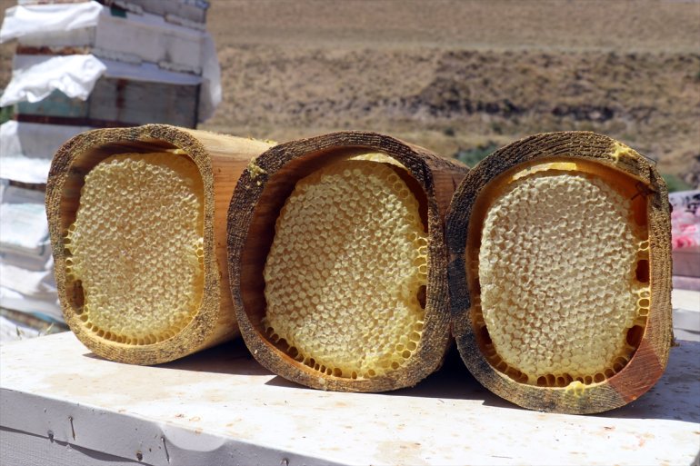 Ağrı kaplı bal yaylalarını arıcılar için ediyor çiçeklerle tercih AĞRI üretimi - Ordulu 11