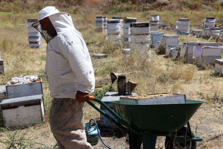 kaplı çiçeklerle arıcılar tercih Ağrı bal üretimi için yaylalarını ediyor - Ordulu AĞRI 12