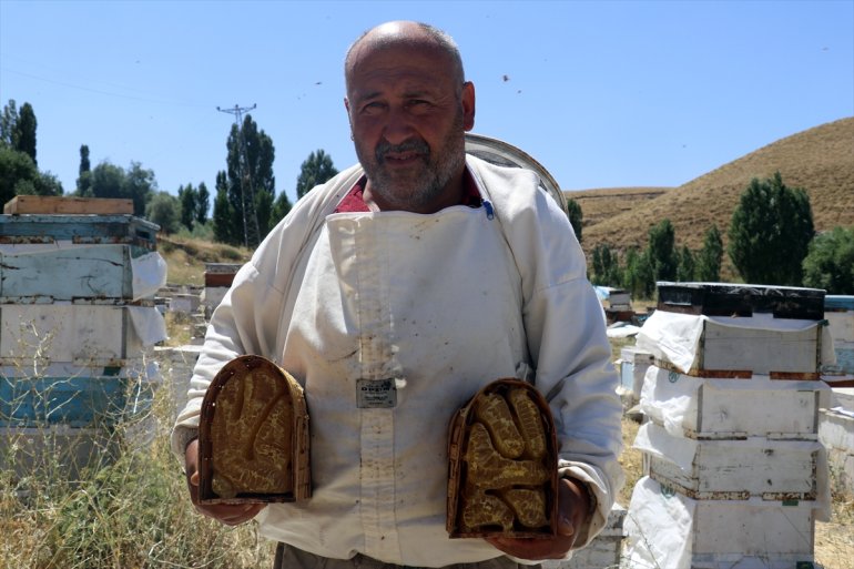 arıcılar bal AĞRI tercih Ağrı kaplı için yaylalarını ediyor Ordulu üretimi çiçeklerle - 13