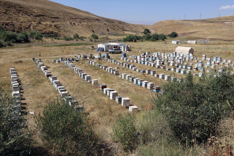 çiçeklerle tercih arıcılar kaplı bal ediyor AĞRI yaylalarını üretimi Ağrı - için Ordulu 15
