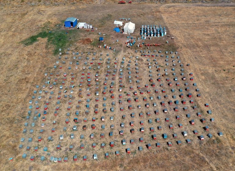 AĞRI bal yaylalarını için kaplı Ordulu arıcılar tercih ediyor - üretimi Ağrı çiçeklerle 16