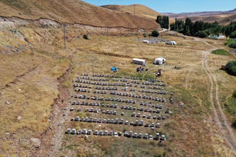 çiçeklerle arıcılar için bal ediyor Ağrı yaylalarını - AĞRI tercih Ordulu üretimi kaplı 18