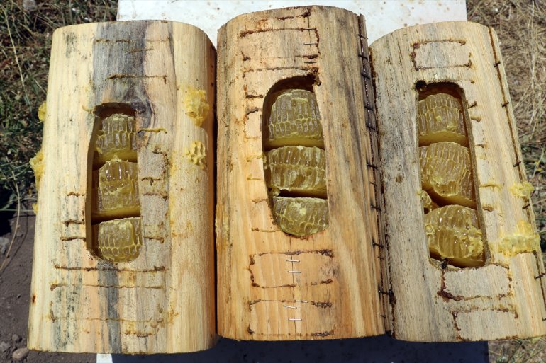 AĞRI için Ordulu arıcılar ediyor çiçeklerle - tercih kaplı bal yaylalarını üretimi Ağrı 3