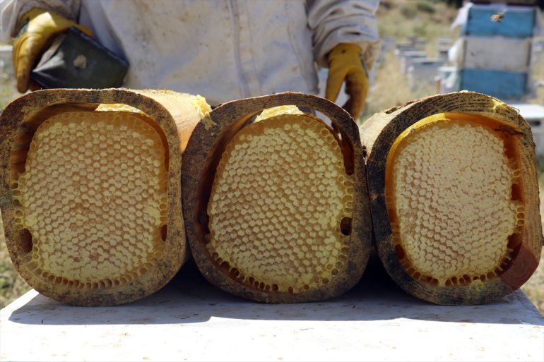 için çiçeklerle Ordulu kaplı arıcılar yaylalarını - bal Ağrı üretimi AĞRI ediyor tercih 5