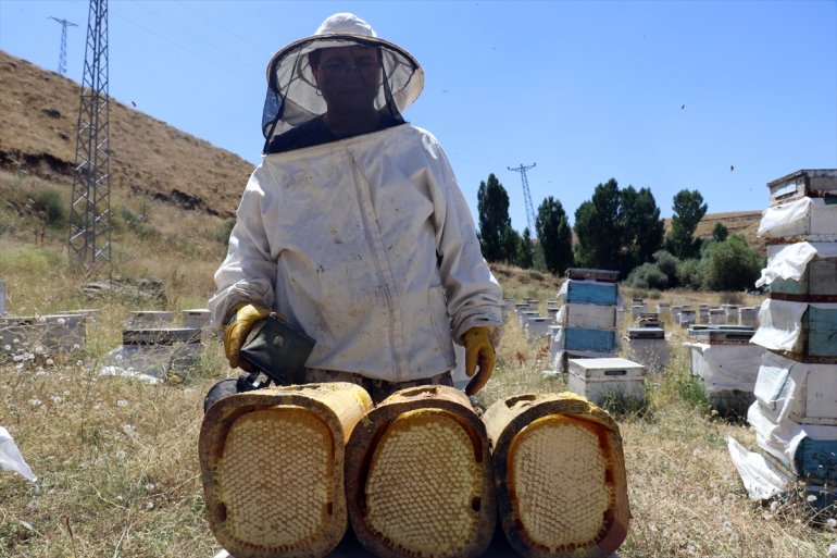 kaplı ediyor arıcılar bal için tercih yaylalarını üretimi Ordulu AĞRI - Ağrı çiçeklerle 6
