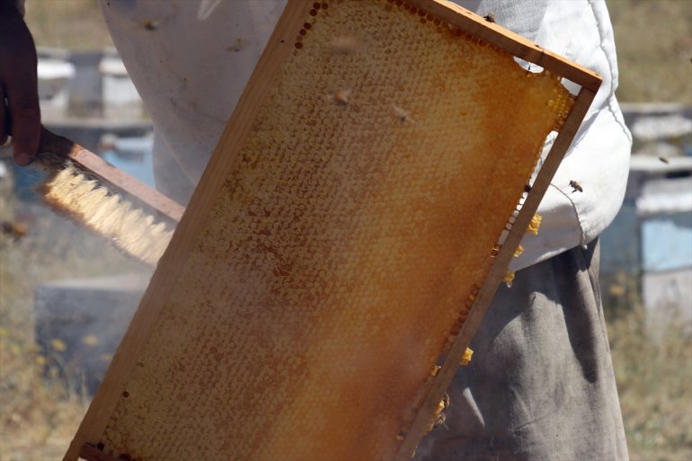 tercih üretimi Ordulu - çiçeklerle yaylalarını bal AĞRI için ediyor arıcılar Ağrı kaplı 7