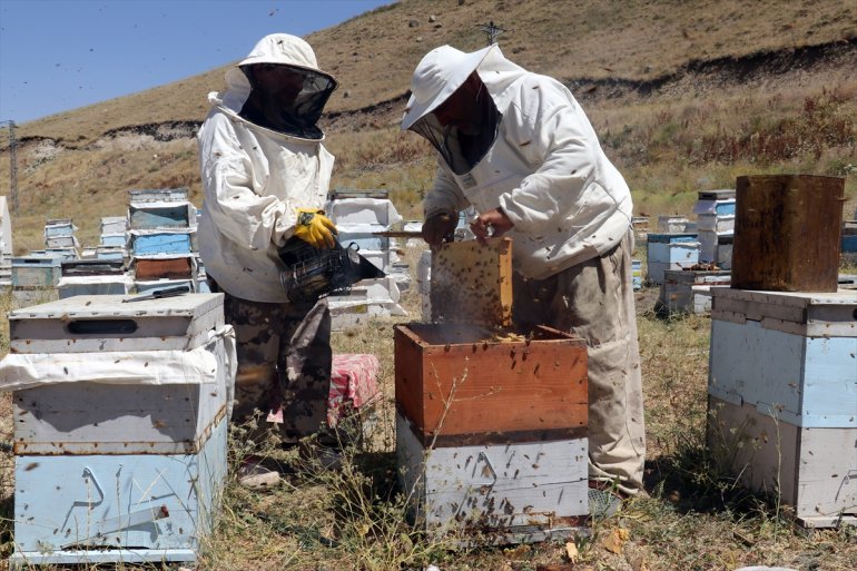 ediyor yaylalarını arıcılar üretimi için kaplı - Ağrı çiçeklerle AĞRI Ordulu bal tercih 8