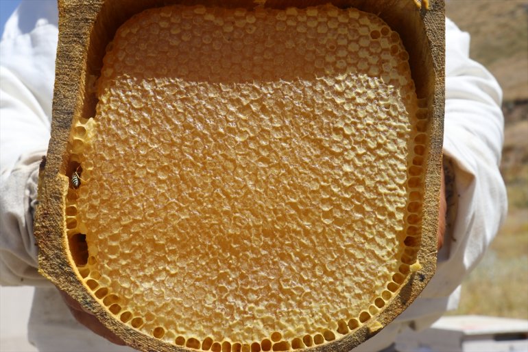 kaplı Ağrı Ordulu arıcılar ediyor için çiçeklerle yaylalarını üretimi bal - tercih AĞRI 9