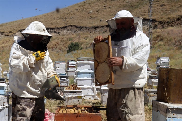 bal üretimi yaylalarını tercih Ordulu arıcılar Ağrı AĞRI için - kaplı ediyor çiçeklerle 10