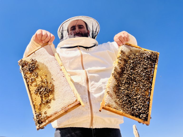 Ağrılı arıcıların tatlı hasat telaşı başladı2