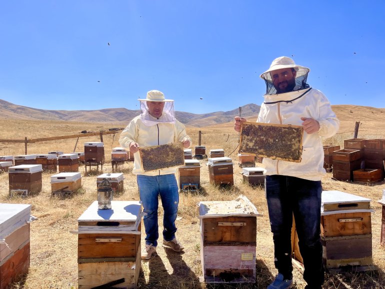 Ağrılı arıcıların tatlı hasat telaşı başladı9