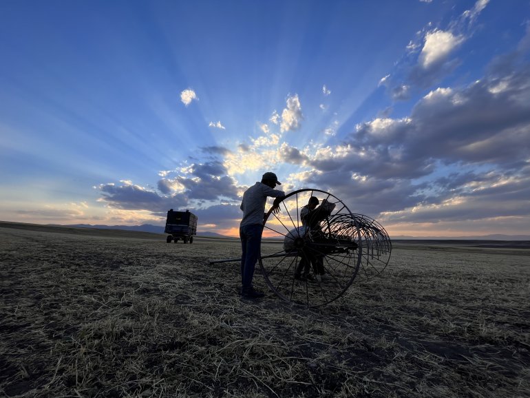 Ağrılı çiftçiler verim aldıkları topraklarda hasat yapmaya başladı11