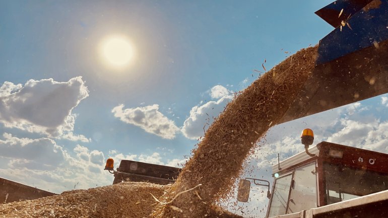 Ağrılı çiftçiler verim aldıkları topraklarda hasat yapmaya başladı4