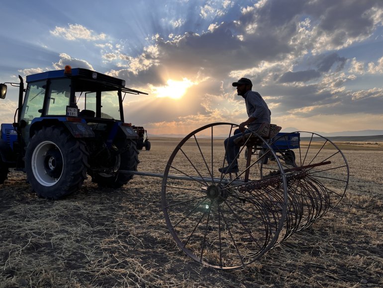 Ağrılı çiftçiler verim aldıkları topraklarda hasat yapmaya başladı8