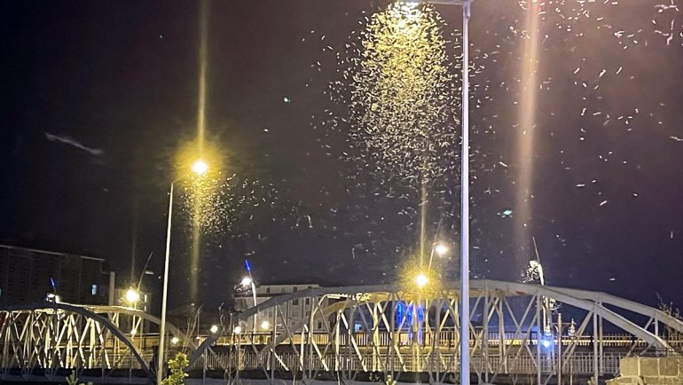 Ardahan'da "bir günlükler"in "ölüm uçuşu" başladı