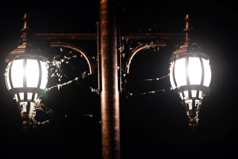 uçuşunu izledi ölüm - Vatandaşlar sineklerinin ARDAHAN mayıs 14