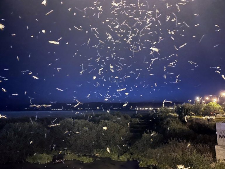 izledi ölüm ARDAHAN Vatandaşlar uçuşunu - sineklerinin mayıs 3