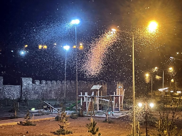 izledi uçuşunu ARDAHAN ölüm sineklerinin Vatandaşlar mayıs - 4