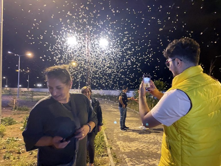 mayıs - uçuşunu ARDAHAN sineklerinin izledi Vatandaşlar ölüm 9