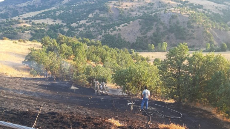 Bingöl'de çalılıkta çıkan yangın ormana sıçramadan söndürüldü