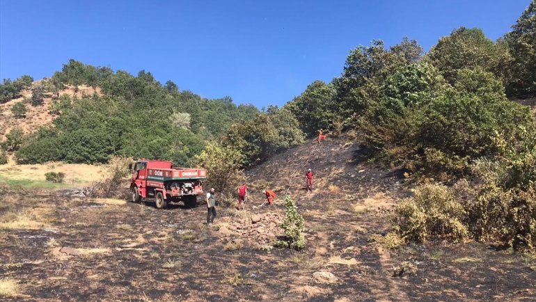 Bingöl'de çıkan orman yangını söndürüldü