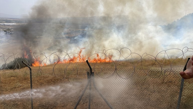 Bingöl'de meşelik ve otluk alanda yangın çıktı