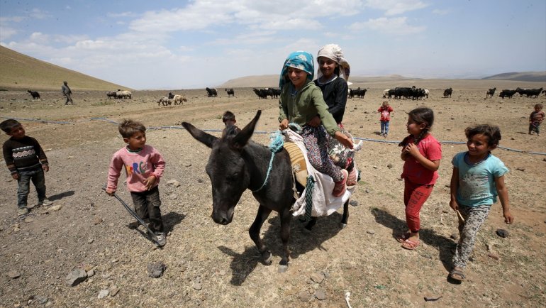 Nemrut Dağı'nın eteklerindeki yaylalar sıcak illerden gelen göçerlerin tercihi oluyor