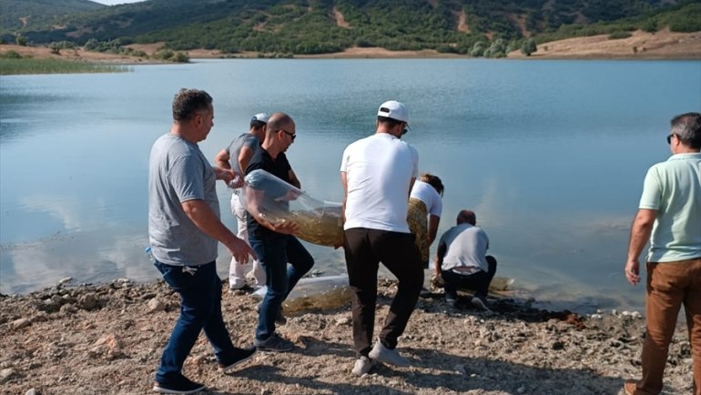 Elazığ'da barajlara 200 bin sazan balığı yavrusu bırakıldı
