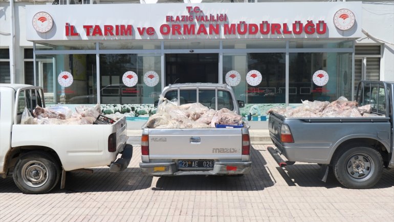Elazığ'da ele geçirilen 900 kilogram bozuk et ve sakatat imha edildi