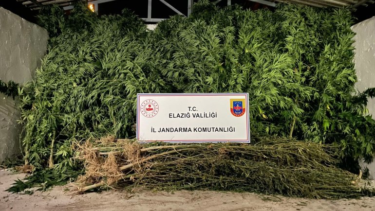 Elazığ'da uyuşturucu operasyonunda 2 şüpheli yakalandı