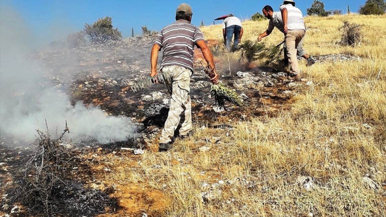 Elazığ'da çıkan orman yangını söndürüldü