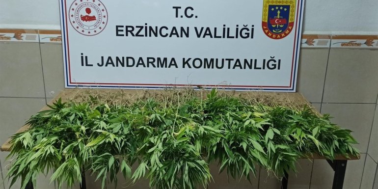 Erzincan