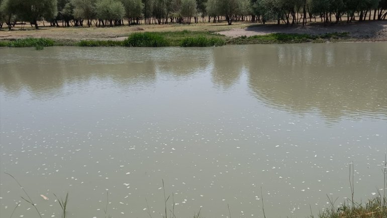 Aras Nehri'ne düşen çocuğunu kurtarmaya çalışan anne akıntıya kapılarak boğuldu