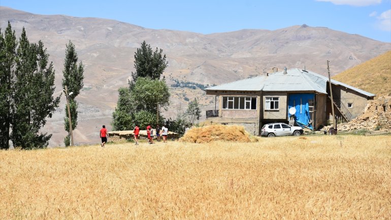 Hakkarili güreşçiler, kamp kurdukları 2 bin 500 rakımlı mezrada müsabakalara hazırlanıyor