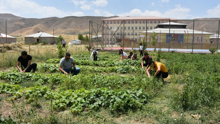 Öğretmen ve öğrenciler bostanda yetiştirdikleri ürünleri ihtiyaç sahiplerine ulaştırıyor