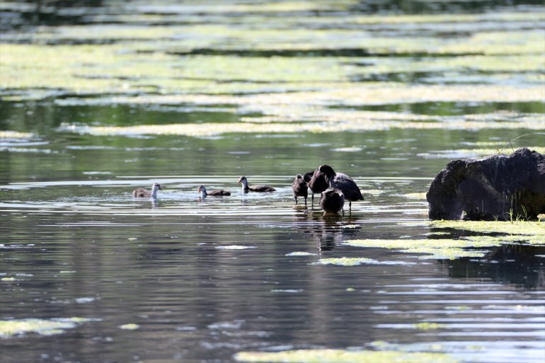 sahip milli buzullar Ağrı - parka veriyor hayat iklime kurak IĞDIR Dağı