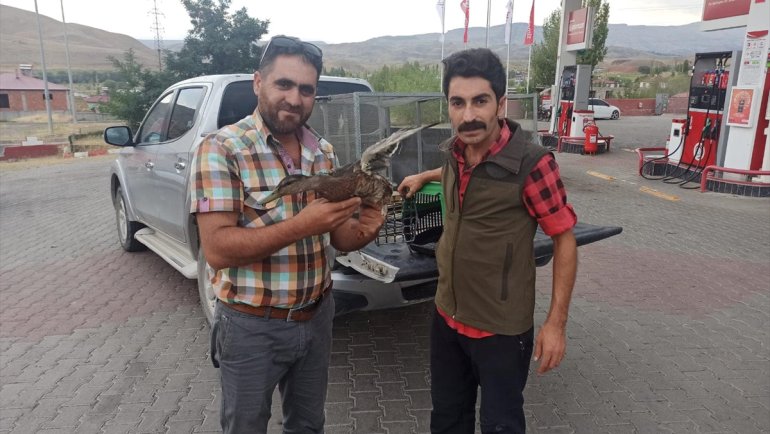 Tedavisi tamamlanan yeşilbaş ördek doğal ortamına bırakıldı