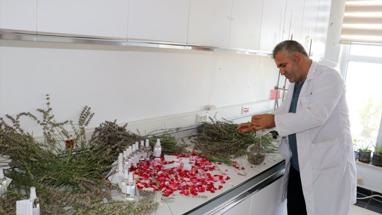 Iğdır Üniversitesi gül ile lavantadan cilt ve bakım losyonu üretti