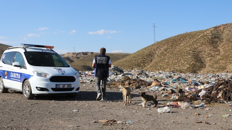 Karlıova Belediyesi ekipleri yaralı olduğu ihbar edilen köpeği arıyor