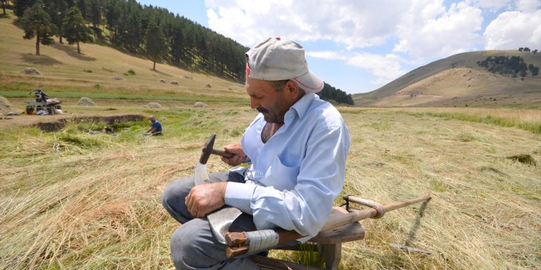 Sarıkamış'ta tırpanlar imece için bilendi