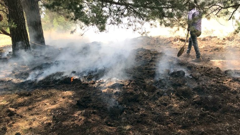 Kars'ta ormanlık alanda çıkan örtü yangını söndürüldü