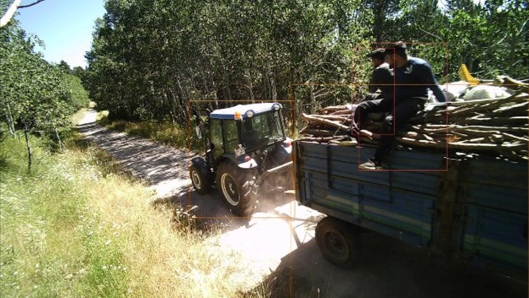 Kars'ta ormanlık alanda izinsiz ağaç kesenler fotokapana yakalandı