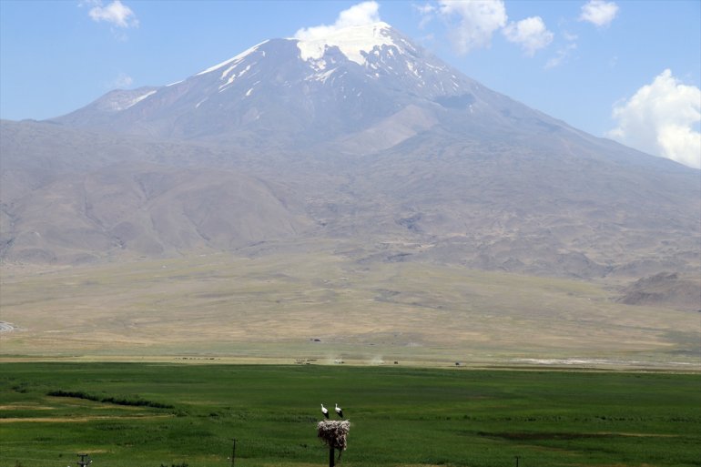 Köylüler leyleklere bakıyor etmeyen Ağrı