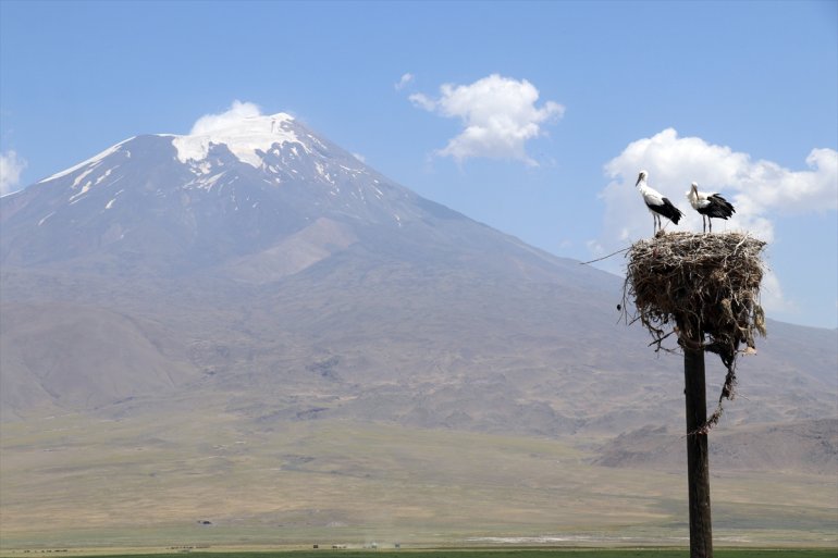 etmeyen Köylüler göç Ağrı