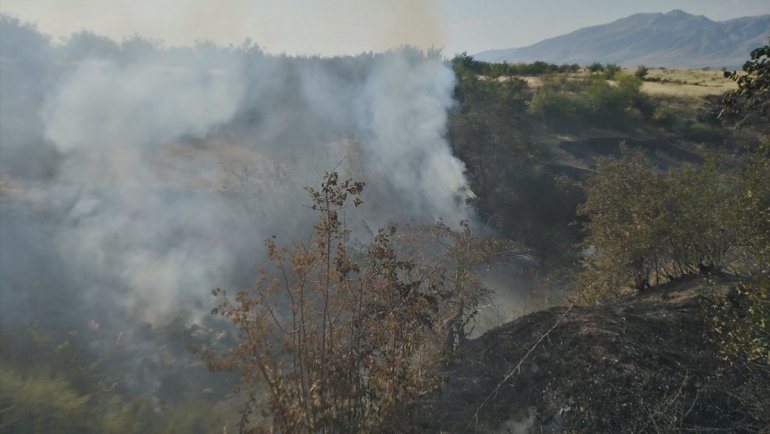 Malatya'da çıkan yangında 90 dönüm arazi zarar gördü